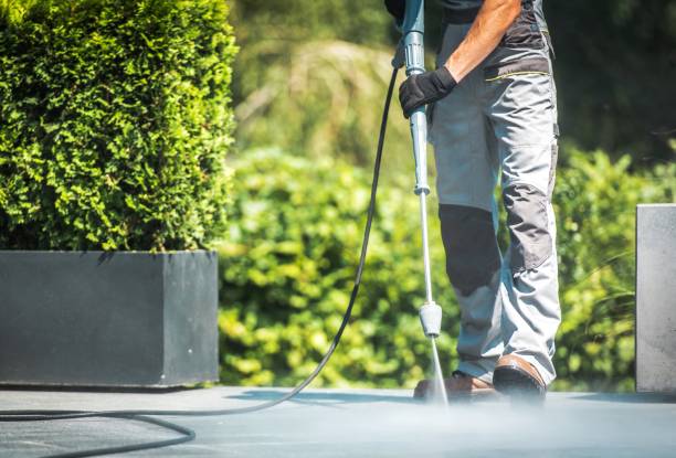 Animal Enclosure Cleaning in Bryan, TX