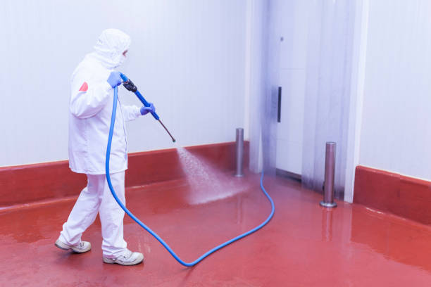 Best Rust Removal  in Bryan, TX